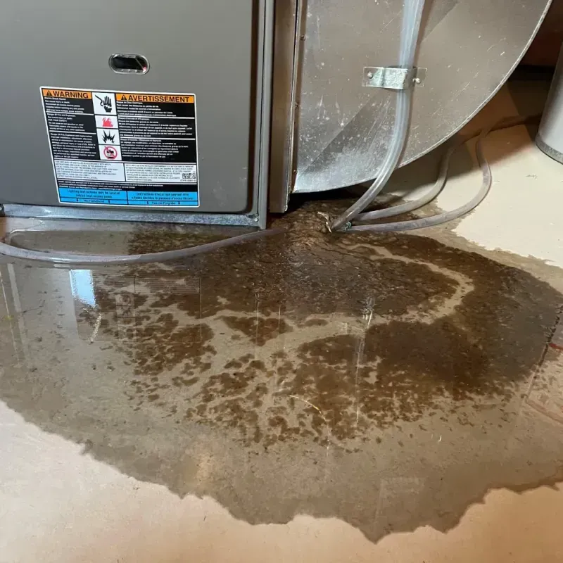 Appliance Leak Cleanup in Ozark County, MO